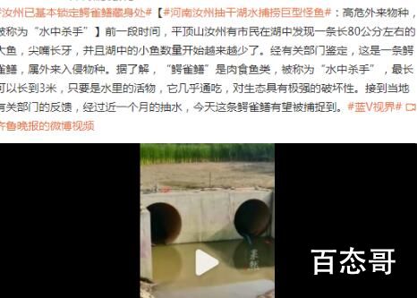 河南汝州巨型怪鱼系高危外来生物 养鱼爱好者知道这种鱼放生危害性有多大