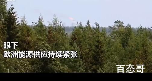普京在俄芬边境矗了把“火炬” 调戏欧洲的水平果然也是帝王级
