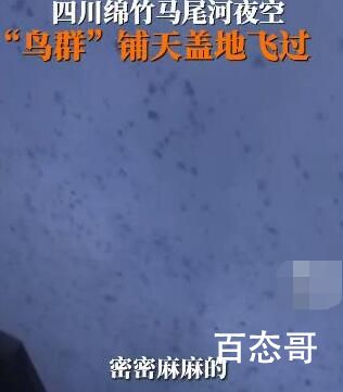 四川绵竹上空疑现大量蝙蝠群 今天验证了地震了
