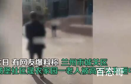 老人被高空坠狗砸中身亡 警方介入 一定要严查到底