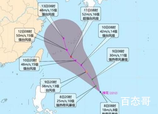 今年第12号台风“梅花”生成 希望梅花和樱花相遇在樱花盛开之地肆意发挥
