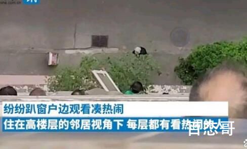 女子开窗看热闹 整楼窗边都是脑袋 往下看全是头网上看全是脸