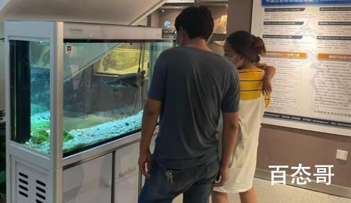 中国古动物馆鳄雀鳝咬伤游客 打开鱼缸盖子的人应该负主要责任吧！