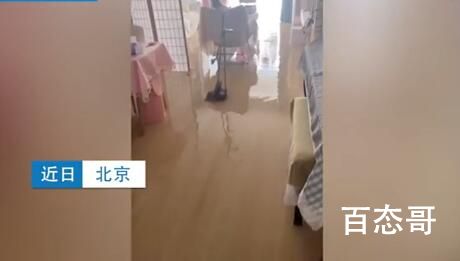 猫咪趁主人睡觉开闸放水淹了家 背后的真相让人惊愕！