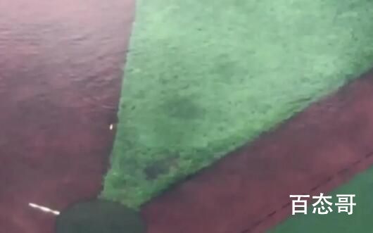 台风过后中学操场上游来一条鱼 这鱼一路飞过来的？