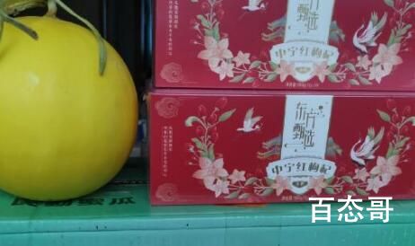 东方甄选下一站去的地方是哪里