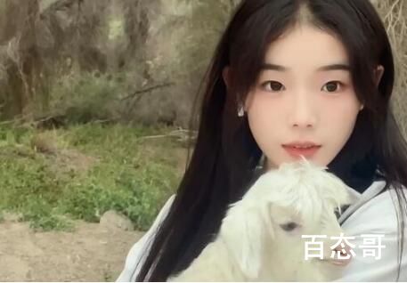 灰太狼的羊老家是哪里的 灰太狼现在在那个城市生活