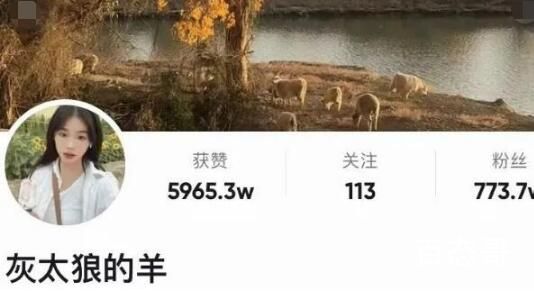灰太狼的羊直播回放哪里可以看得到