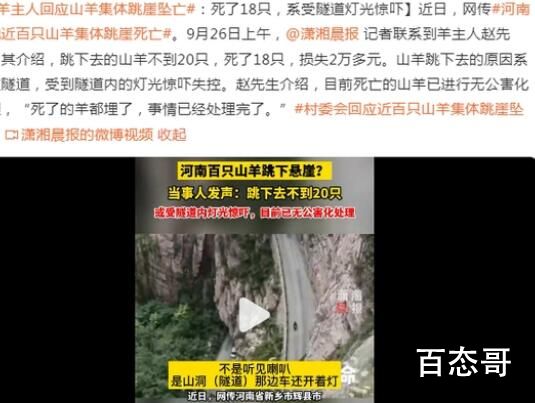 羊主人回应山羊集体跳崖坠亡 公路上到处放养羊不受惊吓就怪了