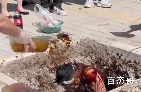 新郎被泼酱油臭豆腐 拍摄者发声 抵制恶意婚闹