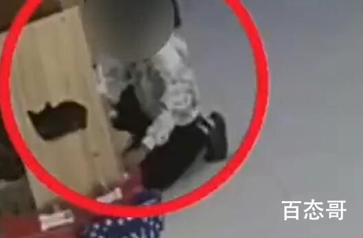 男孩放跑客人寄存的2万元猫 应该构成损坏财产罪了