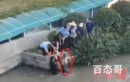 女子点赞救人英雄后发现是老公 这个配得上见义勇为英雄称号！