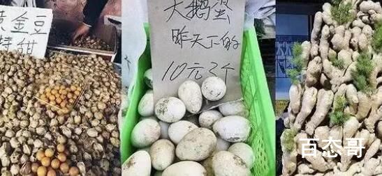 反向旅游在年轻人中兴起 主要是不想碰到老年团