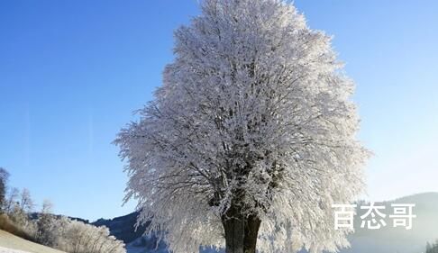 多地加入下雪群聊 好想去看入秋后的第一场雪