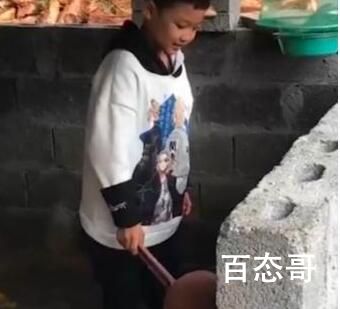 20余名留守娃轮流摆拍喂猪完成作业 流水线工厂太有才了