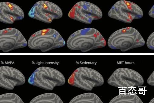 研究:少量运动也能增加大脑体积 所以运动体重不减是这个原因啊