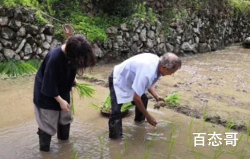 95后女孩休学后进山当农民 背后的真相让人震惊