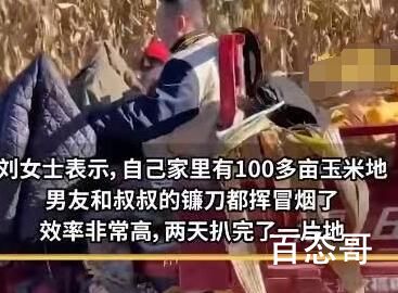 男子带父亲花2天帮女友家收玉米 玉米收完不要跟男朋友分手啊