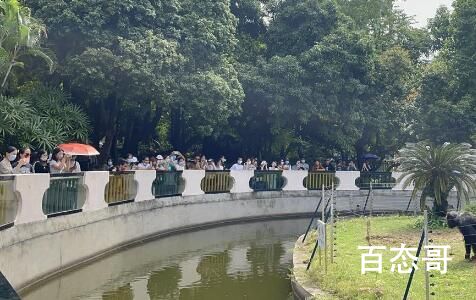 专家揭秘南宁动物园不正经动物 背后的真相让人无奈