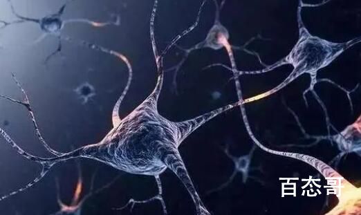 首次证明人脑细胞在体外也有智力 那是不是可以多培养些出来给我加外挂了？