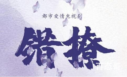 《以爱为营》是什么类型的电视剧 以爱为营根据什么改编的