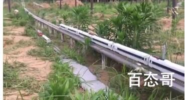 河南小伙菜地里建微型高铁走红 视频播放高达3亿次