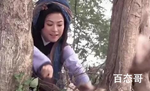 王宝钏挖野菜是哪部电视剧里的片段