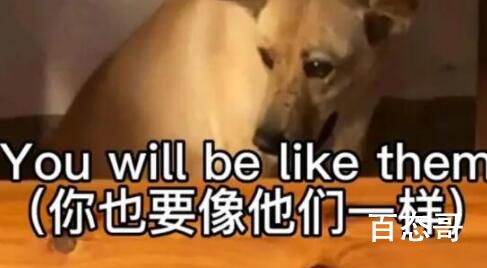 so you will be like them abandon me是什么意思 so you will be like them abandon me梗出自于哪里