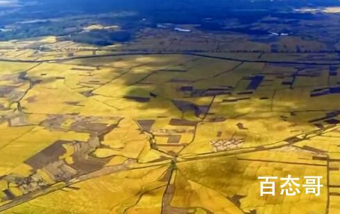 东方甄选外景是哪个人拍摄的 东方甄选导演组有哪些人