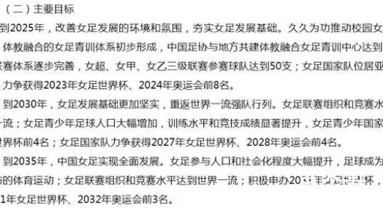 中国将申办2031年女足世界杯 成功申办的概率大吗