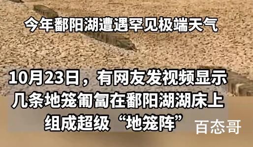 官方回应鄱阳湖现巨型“地笼阵” 应该在全国禁止生产和销售这种网孔直径1.5cm的渔网1cm地笼！