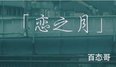 日剧《恋之月》想讲述的是什么