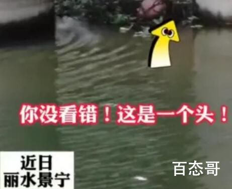 赌徒跳河露光头被警方无人机发现 这些赌徒跑路是认真的