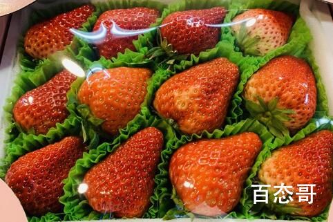 草莓上市部分品种近200元一斤 这是什么品种的草莓
