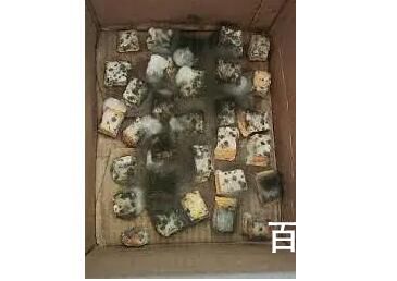 长沙女子自制霉豆腐长黑毛仍要吃 黄曲霉毒素严重超标