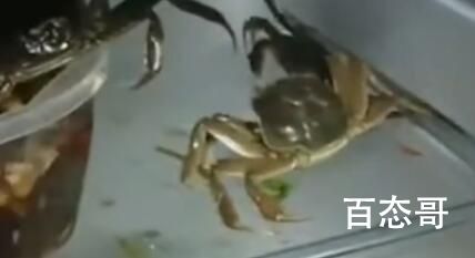 女子制生腌蟹 3小时后螃蟹越狱乱爬 生腌太残忍了给螃蟹一个痛快的吧