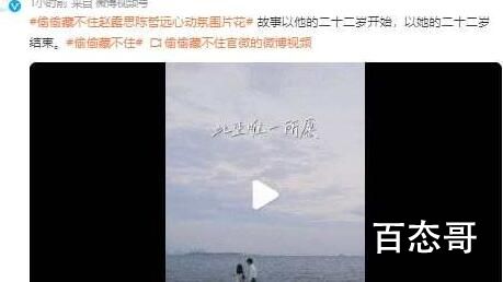 《偷偷藏不住》改编哪部小说 《偷偷藏不住》主演都有谁 《偷偷藏不住》讲的什么故事