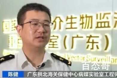 广东海关截获全球首次报道新物种 广东海关截获拉丁蠊属蜚蠊种