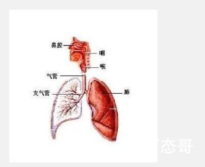 小儿肺炎的严重性 
