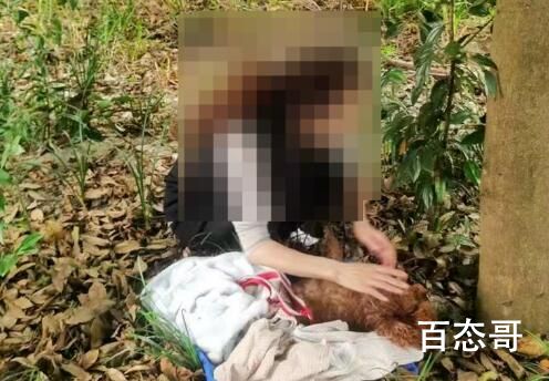 网曝成都多地出现“毒狗”事件 背后的真相让人始料未及