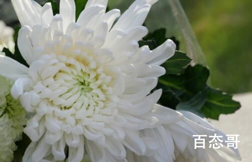 3天内三位著名音乐家相继逝世 到底是怎么回事