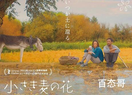 电影《隐入尘烟》什么时候在日本上映 隐入尘烟故事背景是在什么时候