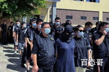 复刻乐高玩具涉案17亿元 不能给娃买便宜的乐高了