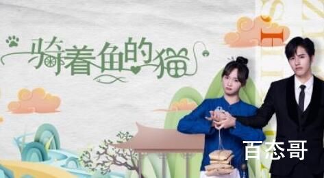 《骑着鱼的猫》剧情分析 《骑着鱼的猫》讲的什么故事