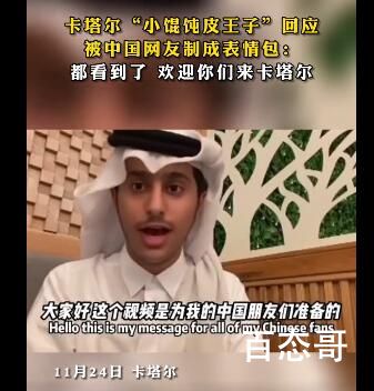 “小馄饨皮”王子感谢网友的表情包 这个小王子还挺帅的