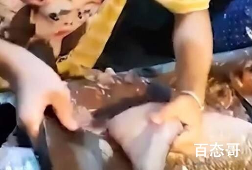 9岁女童档口持刀杀鱼扒鳞 看样子至少有十年刀功