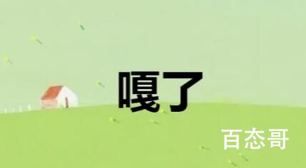 嘎了到底是什么意思