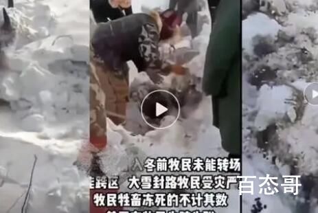 媒体:新疆暴雪 有牧民失联牛羊冻死 希望大家平安无事 