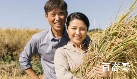 《山河锦绣》赵书最后跟谁在一起了   《山河锦绣》赵书和结局是怎样的