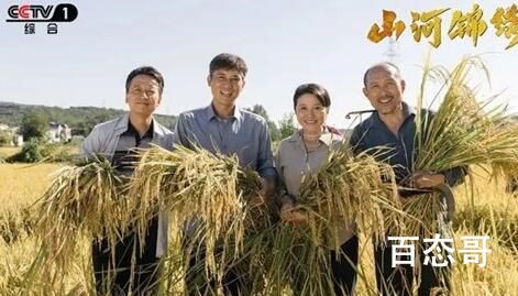 《山河锦绣》中的方言是哪个地方的  《山河锦绣》讲述了什么故事